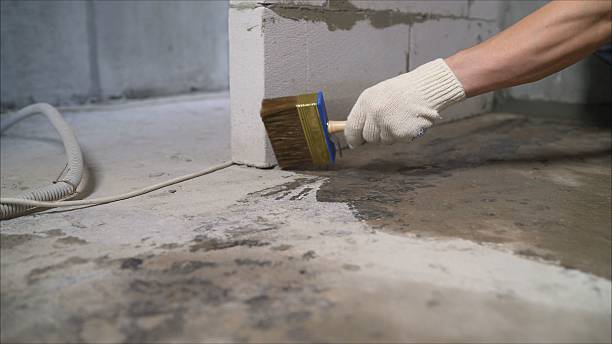 SJ Waterproofing Pros Waterproofing coverage map for Ortonville, MI and surrounding area